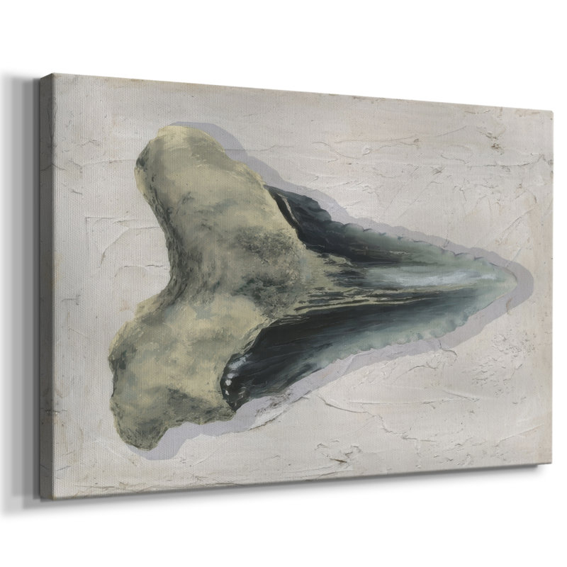 Aquarelle Sharks Tooth III -Galerie enveloppée Cavas, 18 x 27