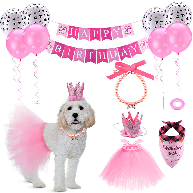Ensemble de tenue d'anniversaire pour chien