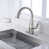 Brushed Nickel