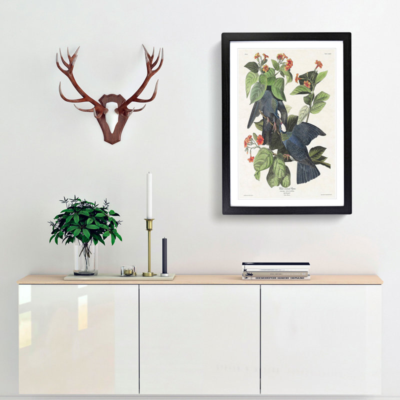 White-Crowned Pigeons by John Audubon - Picture Frame Painting Print, 65cm H x 48cm W x 2cm D, Black Framed