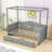 Aeriona Canopy Daybed with 2 Drawers-917037006