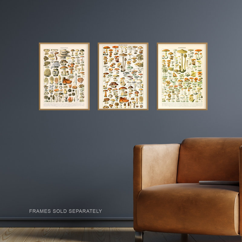 Iconic Illustrations Of Mushrooms Vintage Millot 3-Piece Set Unframed Wall Art Prints Kitchen Aesthetic Fungus Champignon