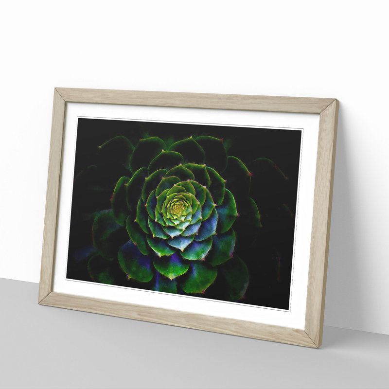 Dark Green Succulent Plant - Picture Frame Graphic Art Print, 62cm H x 87cm W x 2cm D, Oak Framed