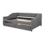 Lit de jour Modern-888500704