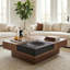 Solid Coffee Table with Storage