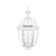 Arelene Lantern Head