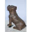 Magnifique statue en bronze de bouledogue - Taille: L 16 po x l 7 po x H 16 po.