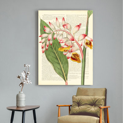 Vintage Botany II by Remy Dellal - Wrapped Canvas Painting