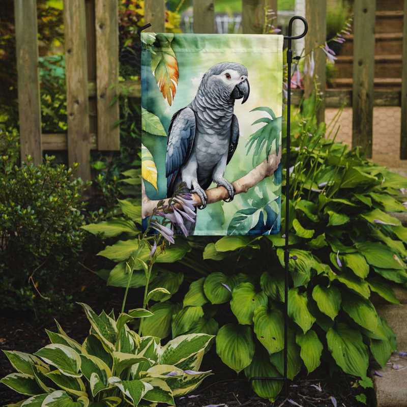 Drapeau de jardin, Perroquet jaco