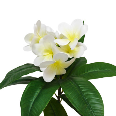 Arbre de plumeria artificiel 6 pi avec fleurs jaunes et blanches, faux arbre de plumeria avec des feuilles réalistes dans un pot en plastique, utilisation intérieure / extérieure pour la maison, le bureau, le jardin, le porche ou les décorations saisonnières, plantes artificielles pour cadeau de pendaison de crémaillère