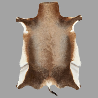 Blesbok Garvey Brown Rug