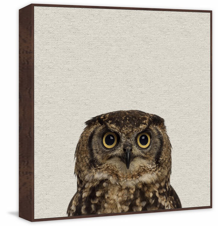 Those Big Eyes II - Floater Frame Print on Canvas, 61cm H x 61cm W 