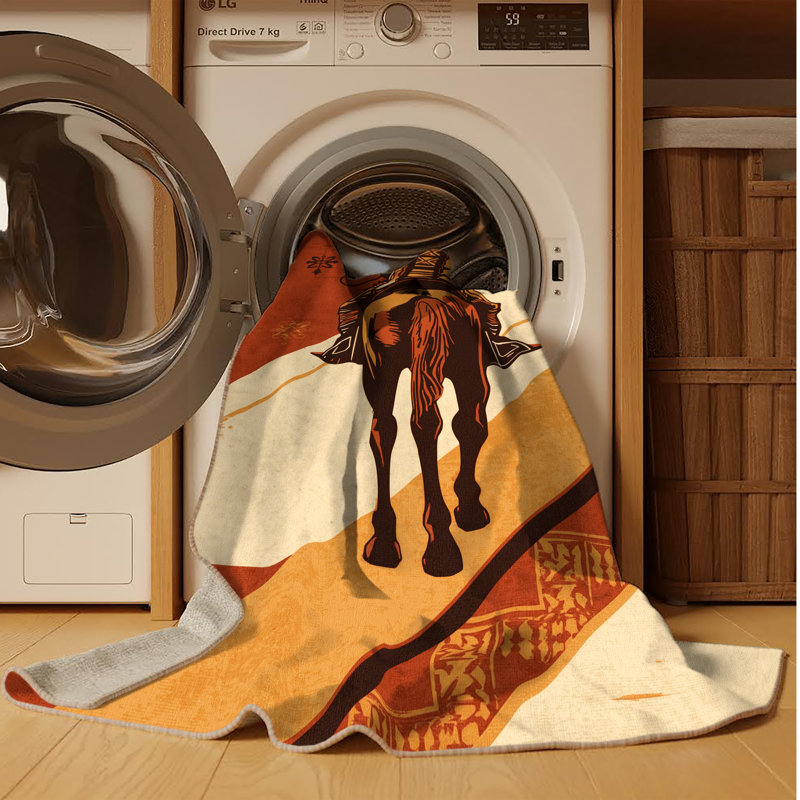 Tapis lavable à la machine Barnesville Apache Rider, 8 x 10