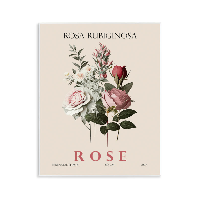 Ensemble de plaques murales Natural Rose, par Christopher Giampietro