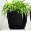 Quadro Premium Pot Planter-16493066-16493069