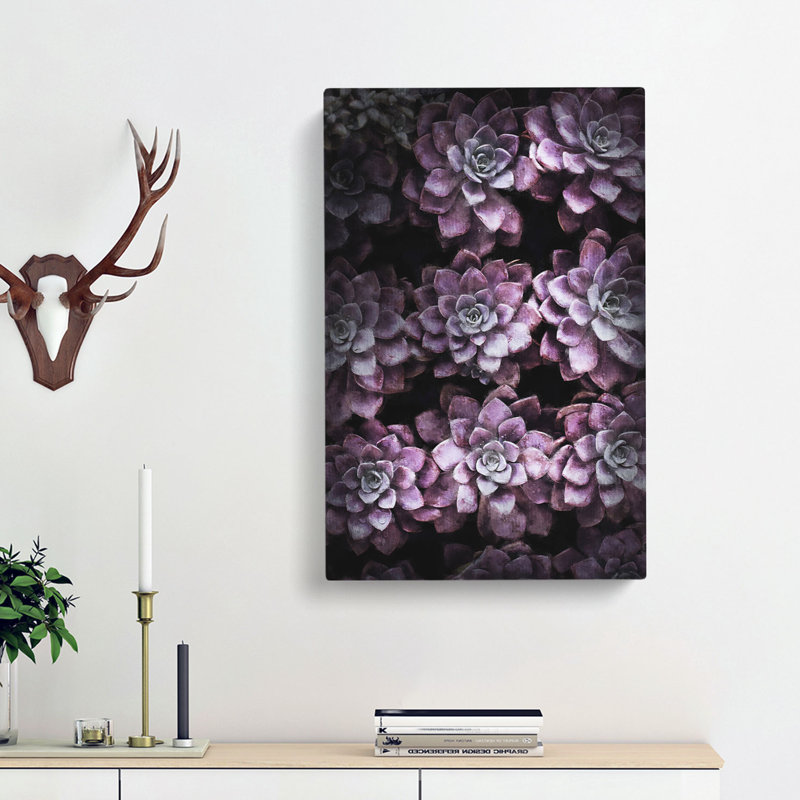 Pretty Purple Succulent Plants - Wrapped Canvas, 50cm H x 35cm W x 3cm D