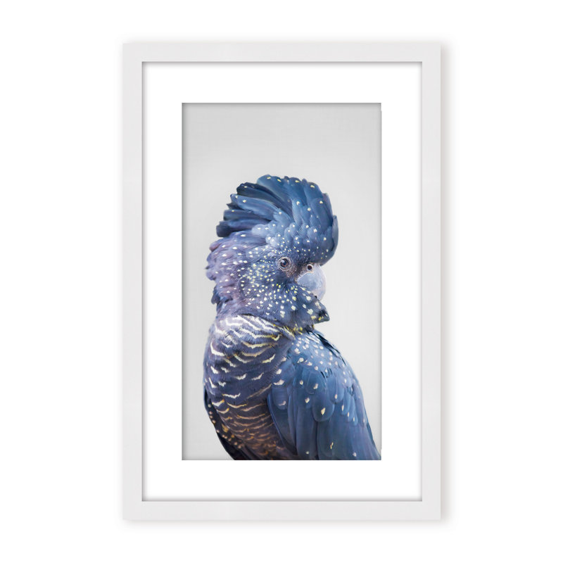 Nature Inspired Black Cockatoo by  - Picture Frame Photograph on Paper, 48" H x 32" W x 1.125" D, Framed Matted Print, Beige