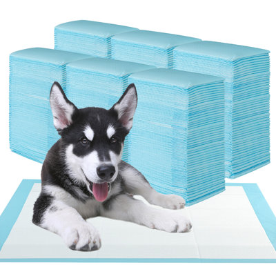 Coussins de dressage pour chien 36 po x 24 po (300 points)