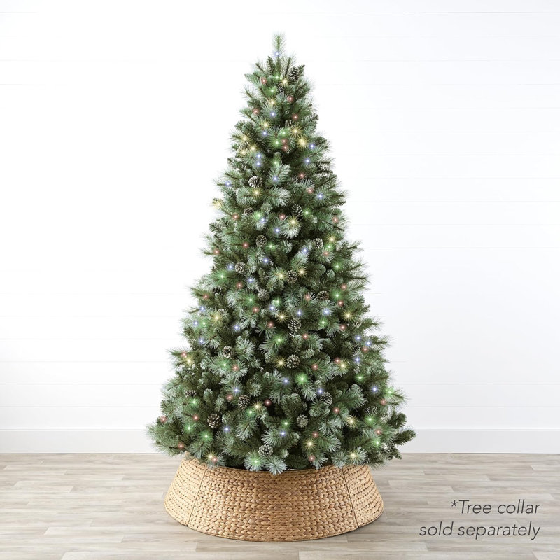 Sapin de Noël givré, 9'