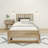 Brubaker Kids Platform with Trundle-319255686-326790049