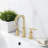 Widespread Bathroom Faucet with Drain Assembly-100863769