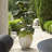 Uttermost Ridgehaven Textured Outdoor Planter