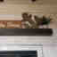 Photos des clients 2 de 2
