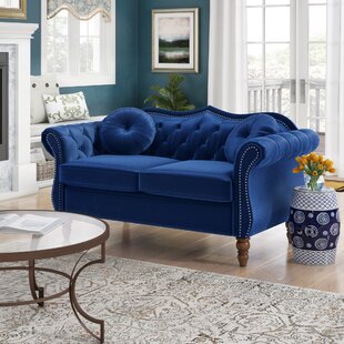 https://assets.wfcdn.com/im/62370924/resize-h310-w310%5Ecompr-r85/1244/124440264/evianna-655-velvet-loveseat.jpg