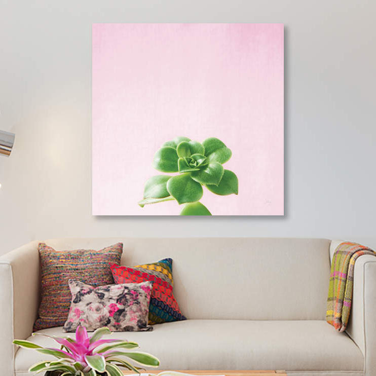 « succulent simplicité on rose v », reproduction d’impression sur toile, H 12 po x l 12 po x P 1,5 po, Toile tendue
