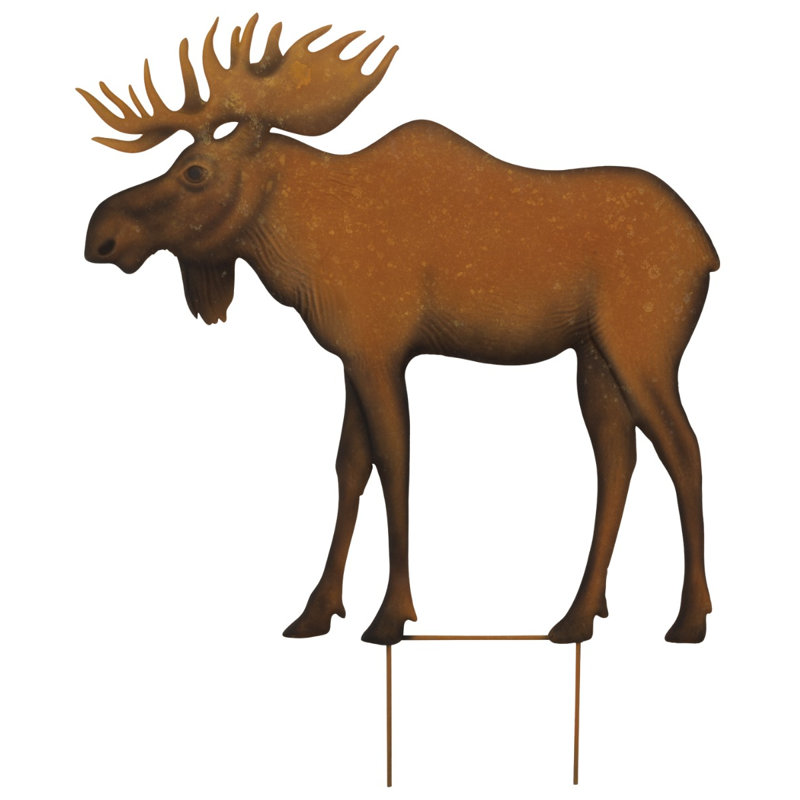 31 orignaux d'orignaux 31 po