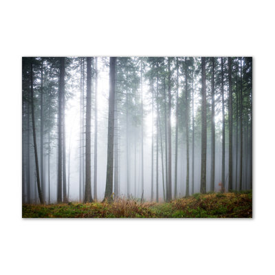 Fog In The Forest - Wrapped Canvas Print