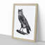 Egyptian Owl Illustration - Picture Frame Drawing Print-55539661-55539658