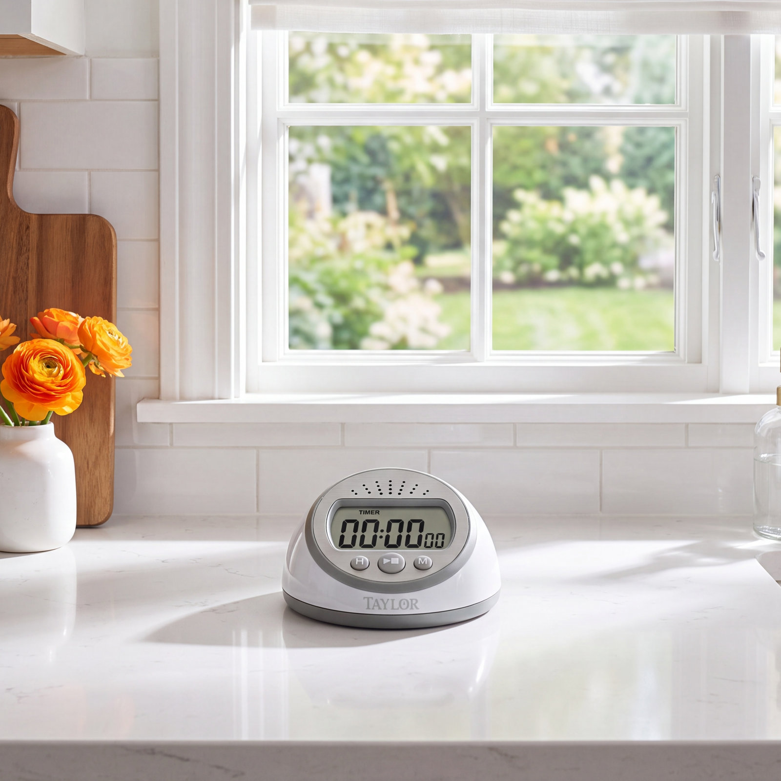 Taylor Digital Timer