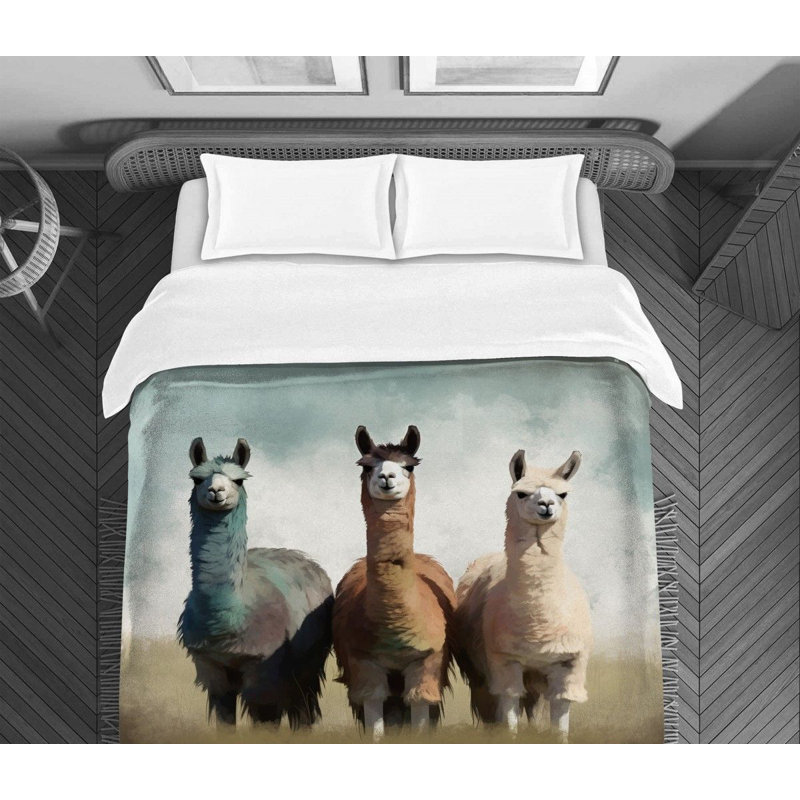 Grassfield LlamaAlexiea Bedding, Twin Extra Long Comforter