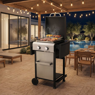 Barbecue au propane à 2 brûleurs avec plancha en acier inoxydable et grilles en fonte, barbecue d'extérieur de 24 600 BTU avec tables d'appoint pliables, rangement et roues pour patio, cour et bord de piscine