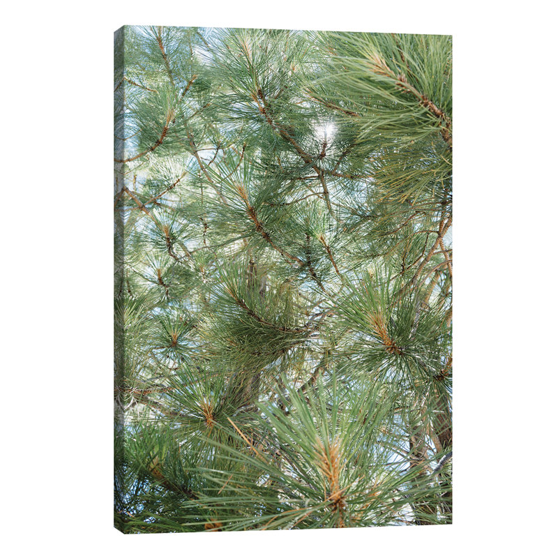 Lake Tahoe IX 1 Piece Wall Art on Canvas, 101.6cm H x 66.04cm W x 1.91cm D, Wrapped Canvas