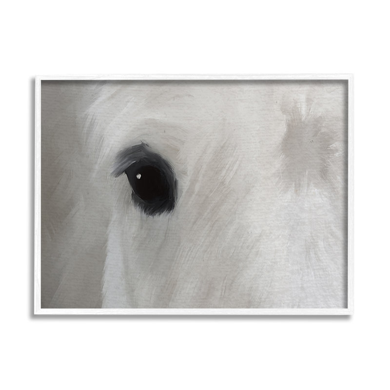 Gros plan sur un étalon sauvage blanc, Giclée encadrée blanc bord de mer, H 11 po x l 14 po
