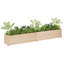 Boîte à fleurs en bois pour l'extérieur-91895565-91895566