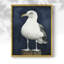 ANIMALS Series CECLV III - Impression encadrée de qualité supérieure - Prêt à être accroché - Aucun clou requis-2085458554-2085458555
