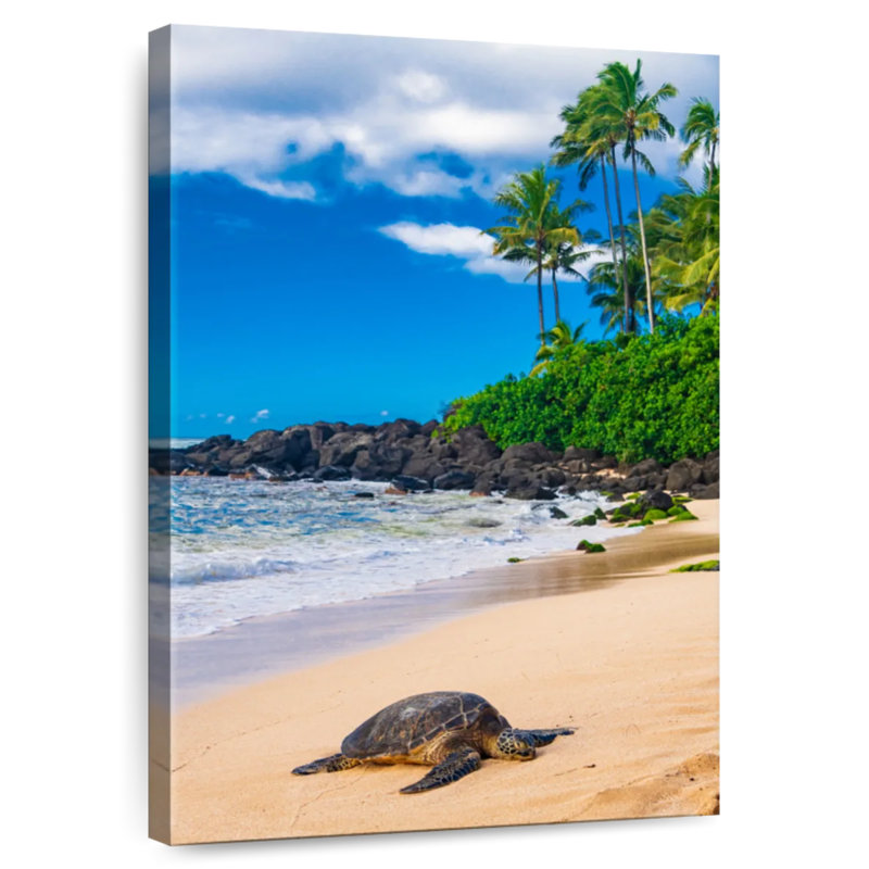 Brampt Honu Sea Turtle, 39" H x 26" W