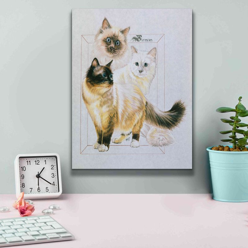 «Birman» par Barbara Keith, art mural sur toile