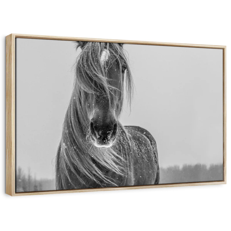Brampt Winter Horse, 17" H x 25" W