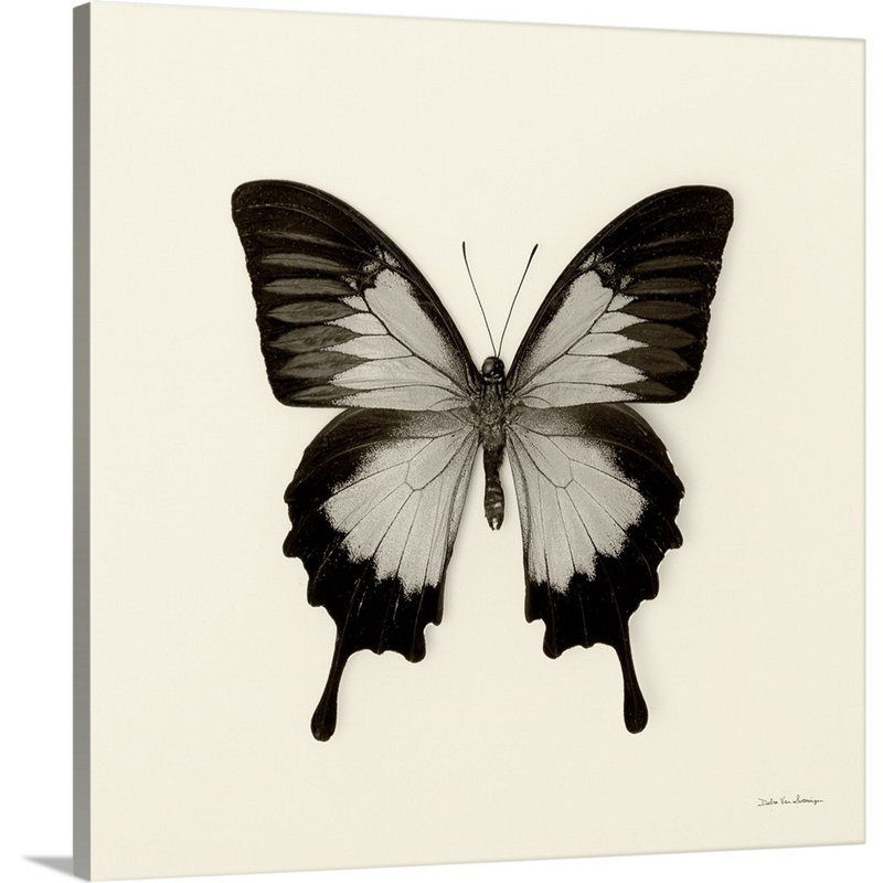 «Butterfly III Black and White» par Van Swearingen Debra, reproduction sur toile, H 48 po x l 48 po x P 1 po, Toile tendue