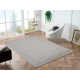 Danberry Area Rug in Light Gray