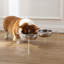 Mangeoire pour animaux Keaton-99366360-99366363