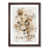 Walnut Framed selected
