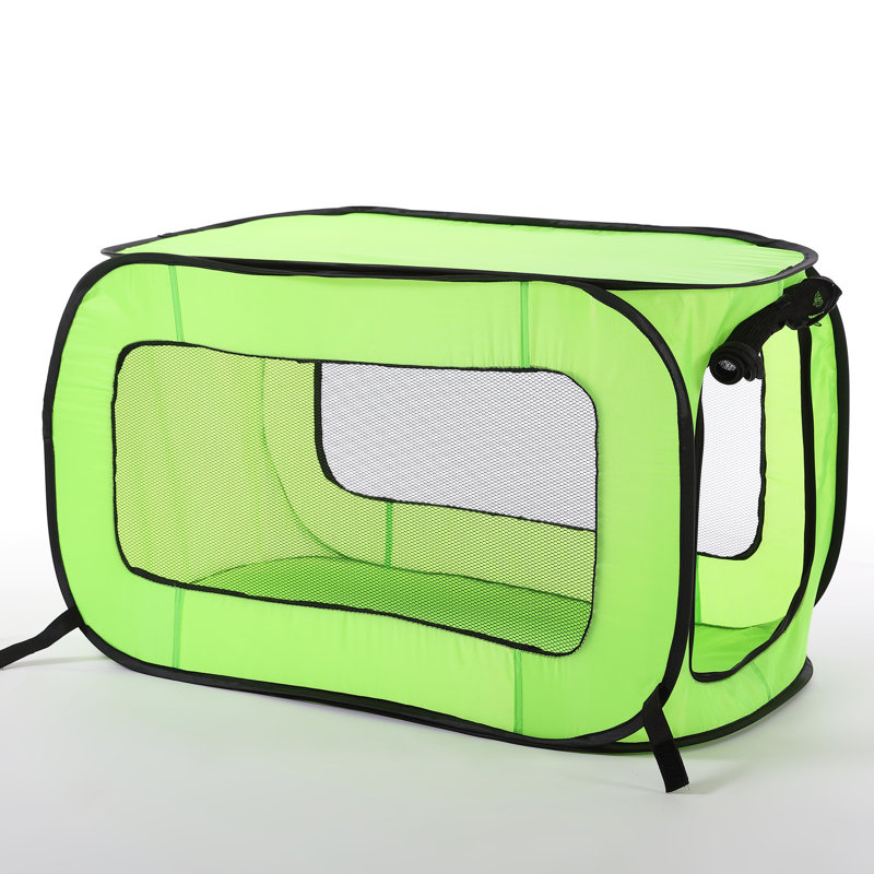 Support pour animaux Pop-up Kennel, Vert, L 36 po x l 22 po x H 21 po