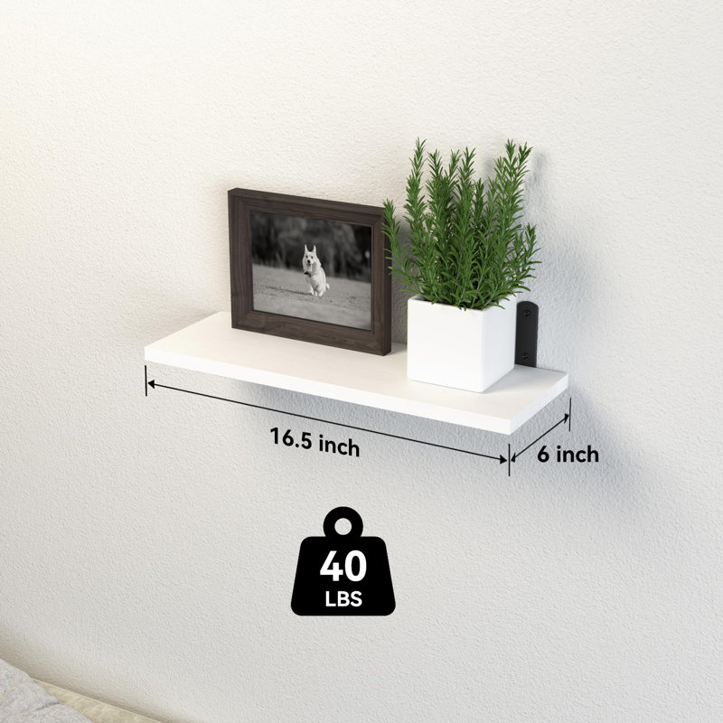 Stojadin Square Floating Shelf, White