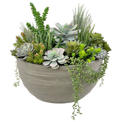 Mixed Succulent In Swirling Bowl