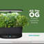 Noir AeroGarden Bounty